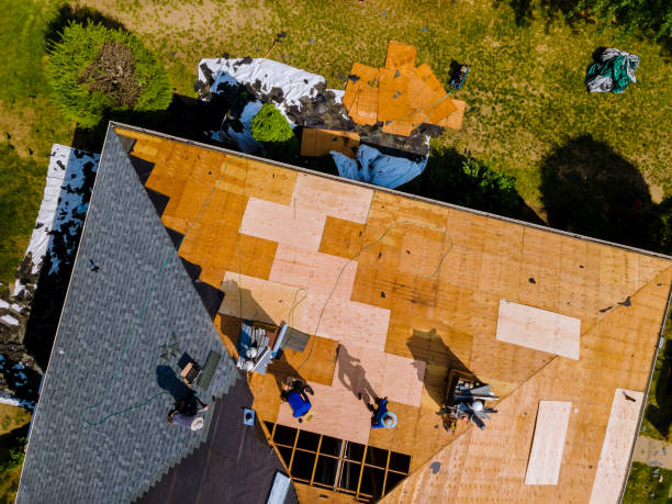 Quick and Trustworthy Emergency Roof Repair Services in Terrytown, LA