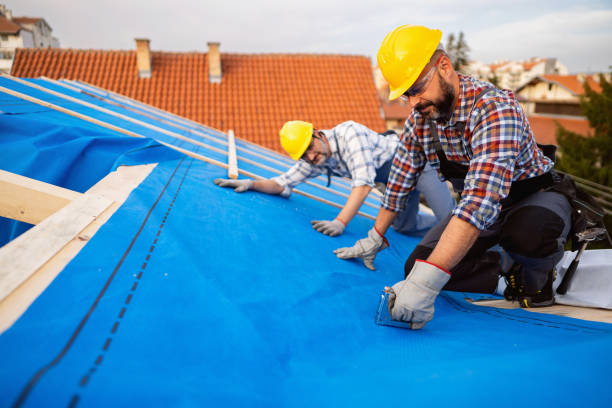 Best Storm Damage Roof Repair  in Terrytown, LA